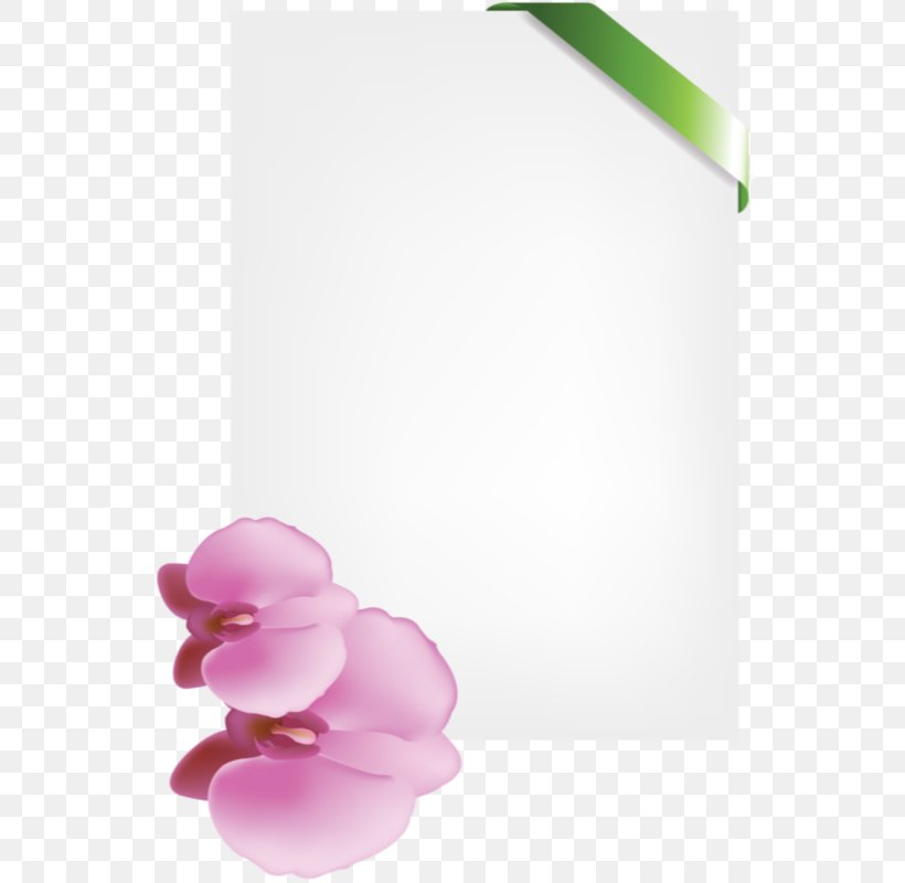 Petal Desktop Wallpaper Rose Family, PNG, 550x800px, Petal, Computer, Flower, Flowering Plant, Lilac Download Free