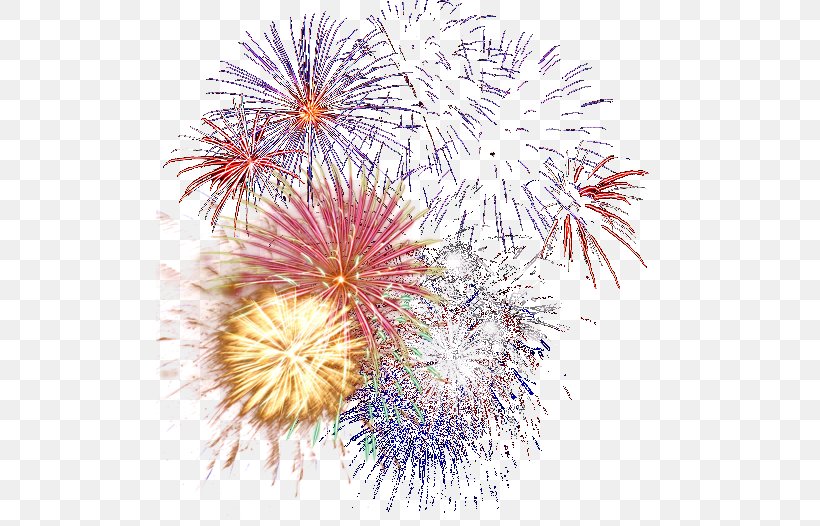 Adobe Fireworks Layers, PNG, 508x526px, Fireworks, Adobe Fireworks,  Animation, Apng, Bonfire Night Download Free