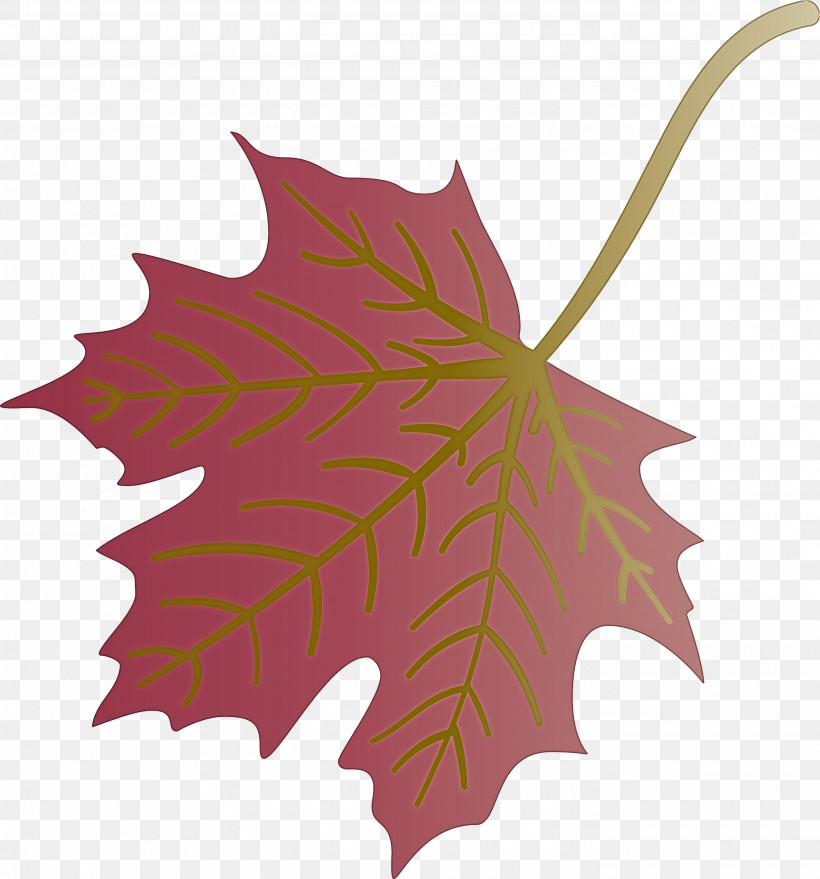 Autumn Leaf Colourful Foliage Colorful Leaves, PNG, 2796x3000px, Autumn Leaf, Autumn Leaf Color, Branch, Color, Colorful Leaf Download Free