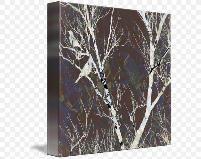 Birch Gallery Wrap /m/083vt Canvas Wood, PNG, 589x650px, Birch, Art, Birch Family, Bird, Branch Download Free