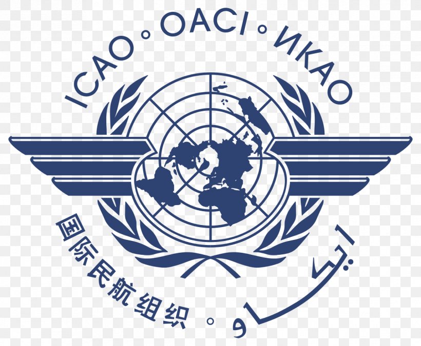 International Civil Aviation Organization National Aviation Authority, PNG, 1243x1024px, Organization, Air Navigation, Area, Aviation, Aviation Safety Download Free