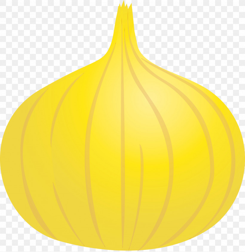 Leaf Squash Yellow Fruit Plants, PNG, 2922x3000px, Onion, Biology, Fruit, Leaf, Paint Download Free