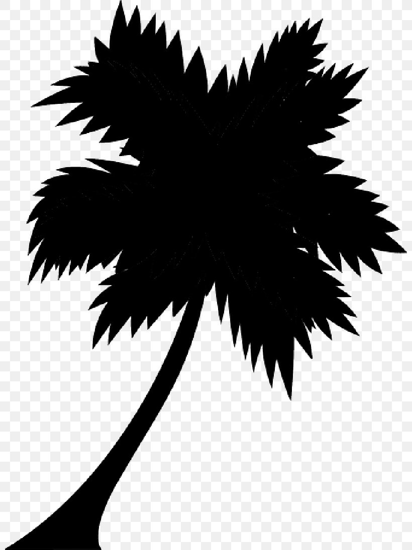 Palm Trees Illustration Graphics Art Silhouette, PNG, 800x1096px, Palm Trees, Arecales, Art, Blackandwhite, Feather Download Free
