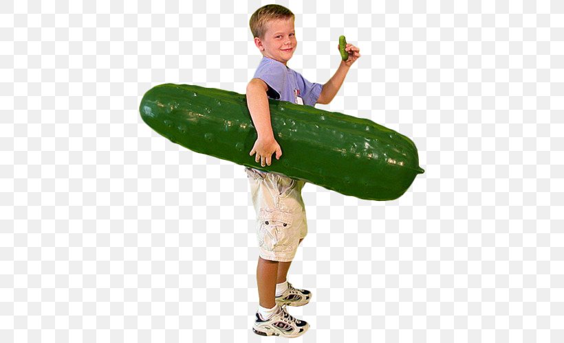 Pickled Cucumber Fried Pickle Food Vegetable Child, PNG, 500x500px, Pickled Cucumber, Boy, Child, Cucumber, Cucumber Gourd And Melon Family Download Free