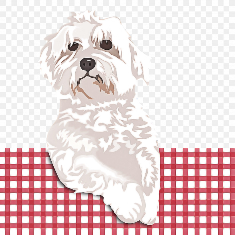 T-shirt Dalmatian Shirt Sleeve Puppy, PNG, 1440x1440px, Tshirt, Britney Spears, Clothing, Dalmatian, Dog Download Free