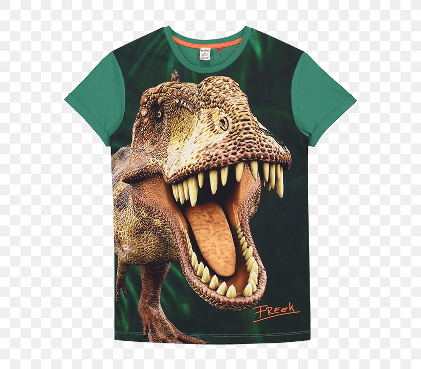 Tyrannosaurus T-shirt Dinosaur Animal Enschede, PNG, 720x720px, Tyrannosaurus, Algemeen Dagblad, Animal, Animal Sauvage, Child Download Free
