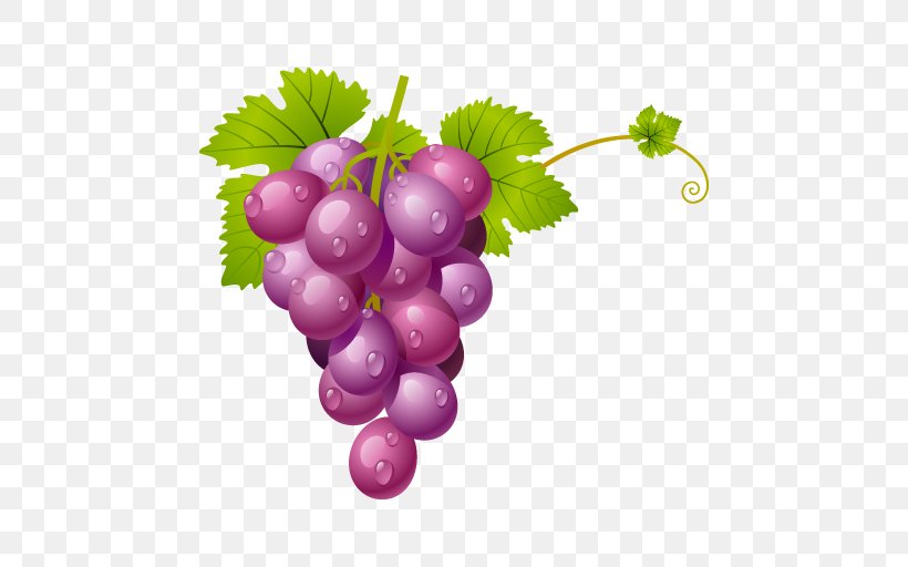 Grape Clip Art, PNG, 512x512px, Grape, Drawing, Flowering Plant, Food, Fruit Download Free