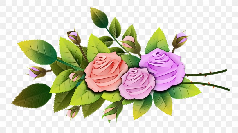Rose, PNG, 1920x1079px, Watercolor, Cut Flowers, Flower, Flowering Plant, Leaf Download Free