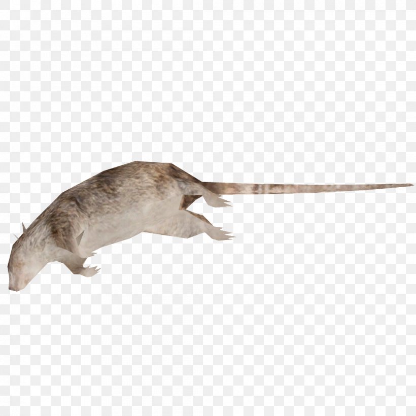 Brown Rat Mouse Laboratory Rat Rodent, PNG, 1040x1040px, Brown Rat, Animal, Death, Fancy Rat, Fauna Download Free