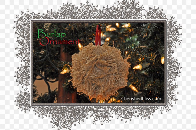 Christmas Tree Christmas Ornament Spruce Fir Boss's Day, PNG, 1600x1067px, Christmas Tree, Christmas, Christmas Decoration, Christmas Ornament, Conifer Download Free