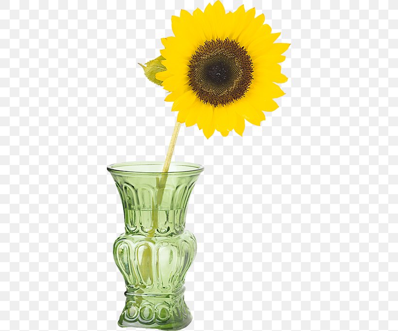 Common Sunflower Vase Sunflower Seed Bakery, PNG, 380x682px, Common Sunflower, Bakery, Cooking Oil, Cooking Oils, Cut Flowers Download Free