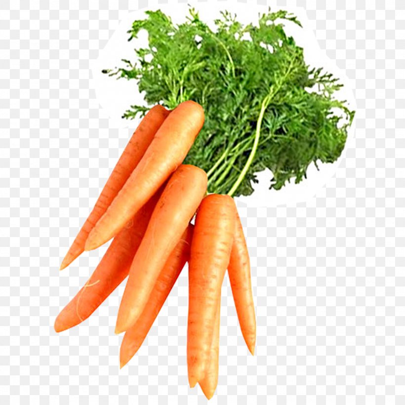 Juice Carrot Root Vegetables Carotene, PNG, 1563x1563px, Juice, Baby Carrot, Carotene, Carrot, Carrot Juice Download Free