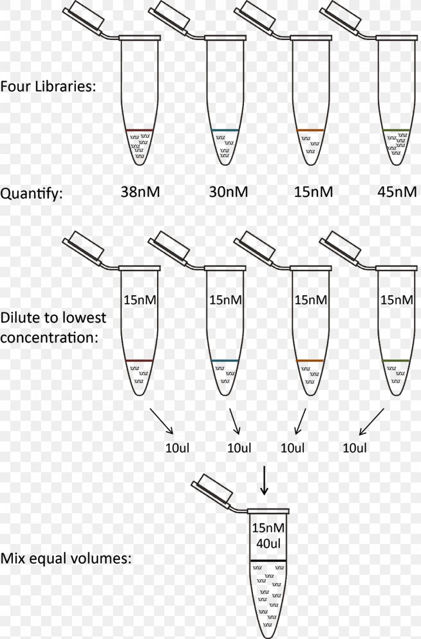 Library Information /m/02csf DNA Genomics, PNG, 1053x1600px, Library, Area, Definition, Diagram, Dna Download Free