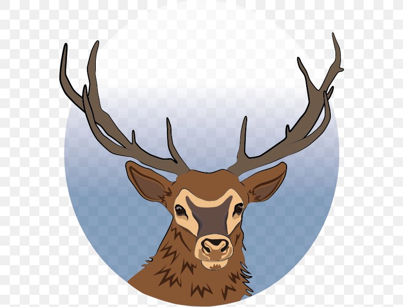 Reindeer Elk Antler Trophy Hunting, PNG, 580x625px, Deer, Animal, Antler, Elk, Horn Download Free