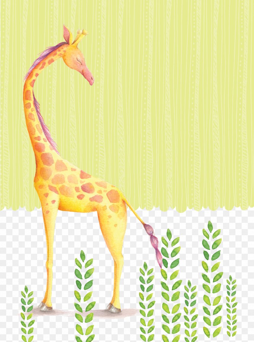 Reticulated Giraffe Northern Giraffe Drawing Wallpaper, PNG, 1725x2325px, Reticulated Giraffe, Drawing, Fauna, Giraffe, Giraffidae Download Free