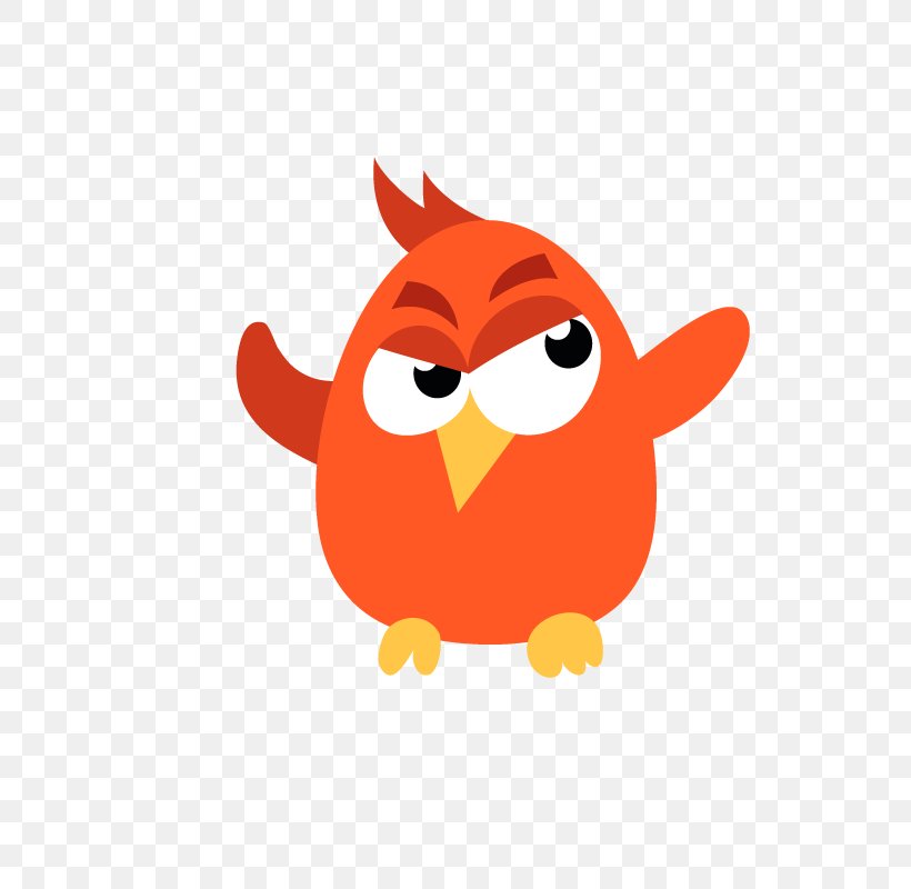 Bird Drawing Vector Graphics Image Color, PNG, 800x800px, Bird, Animated Cartoon, Animation, Cartoon, Color Download Free