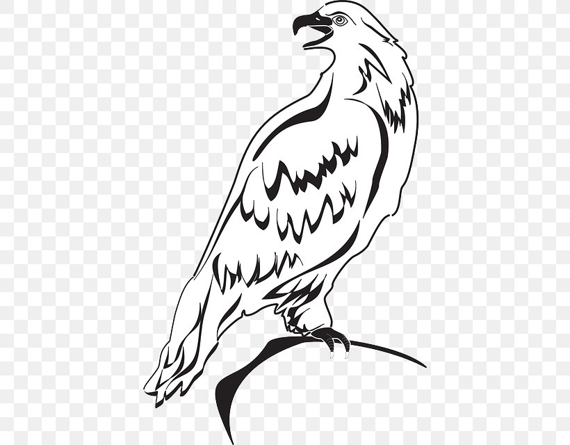 Clip Art Bald Eagle Drawing Openclipart, PNG, 408x640px, Bald Eagle, Art, Art Museum, Artwork, Beak Download Free