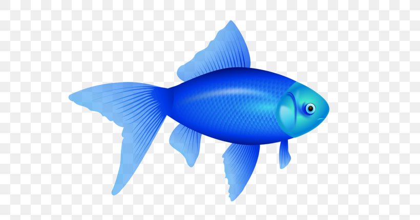 Desktop Wallpaper Clip Art, PNG, 620x430px, Lossy Compression, Blue, Bony Fish, Electric Blue, Fin Download Free