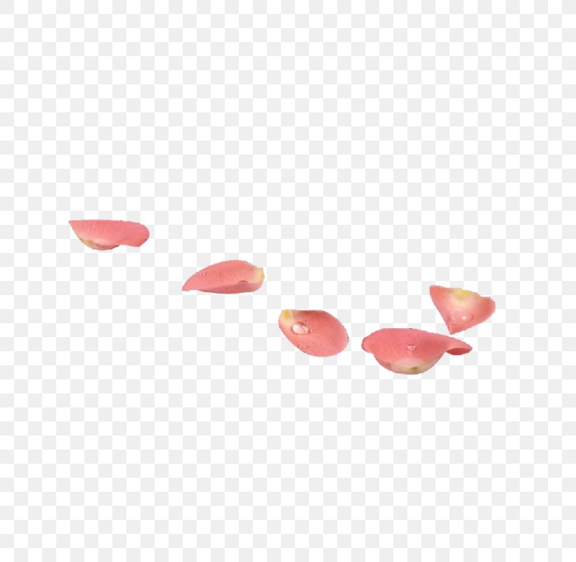Petal Flower Pink Clip Art, PNG, 800x800px, Petal, Beach Rose, Blue, Blue Rose, Flower Download Free