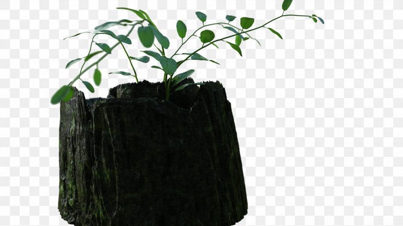 Tree Flowerpot Leaf Herb, PNG, 1920x1080px, Tree, Flower, Flowering Plant, Flowerpot, Herb Download Free