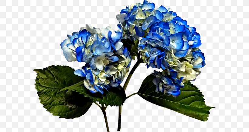 Hydrangea Floral Design Cut Flowers Flower Bouquet, PNG, 600x434px, Hydrangea, Artificial Flower, Blue, Cornales, Cut Flowers Download Free