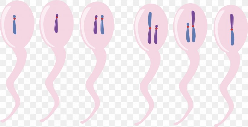 Chromosome Chromosomal Translocation Clip Art, PNG, 2400x1237px, Watercolor, Cartoon, Flower, Frame, Heart Download Free