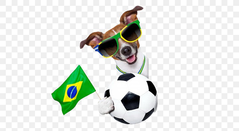 FIFA 12 2014 FIFA World Cup Brazil Dog, PNG, 600x450px, 2014 Fifa World Cup, Fifa 12, Ball, Brazil, Dog Download Free
