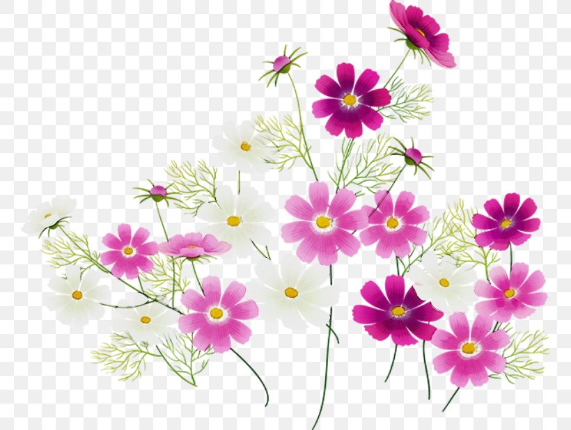 Floral Design, PNG, 760x618px, Watercolor, Cosmos, Daisy Family, Floral Design, Flower Download Free