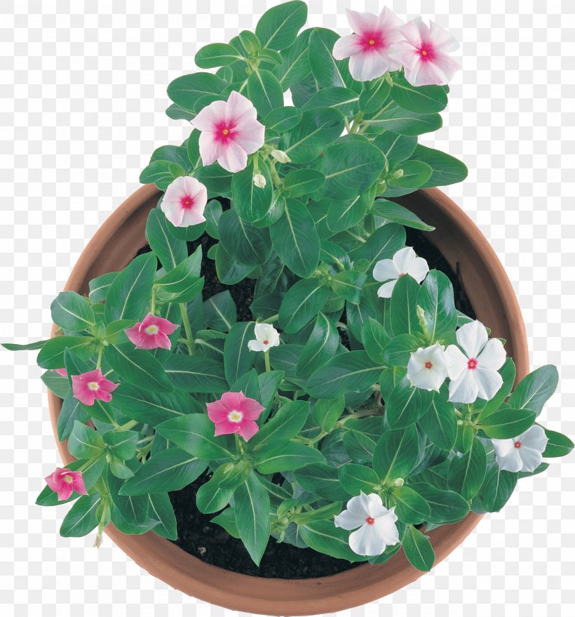 Flowerpot Houseplant Annual Plant, PNG, 2562x2748px, Flowerpot, Annual Plant, Depositfiles, Flower, Flowering Plant Download Free