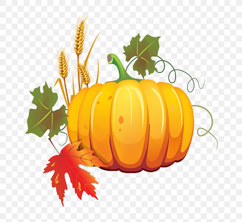 Pumpkin Autumn Harvest Fruit, PNG, 750x750px, Pumpkin, Autumn, Calabaza, Cucurbita, Cucurbita Pepo Download Free