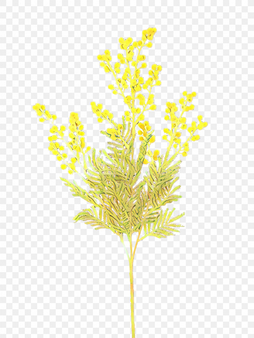 Yellow Plant Leaf Flower Grass, PNG, 2249x3000px, Yellow, Aquarium Decor, Branch, Flower, Grass Download Free