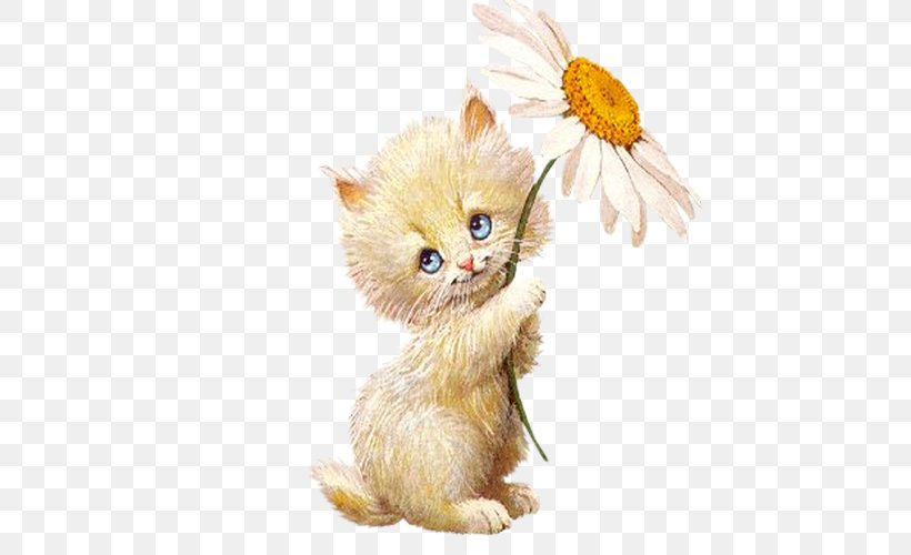 Animation Wallpaper, PNG, 500x500px, Animation, Blog, Carnivoran, Cat, Cat Like Mammal Download Free