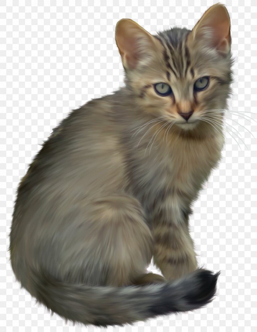 Kitten Cat Cuteness Clip Art, PNG, 975x1258px, Javanese Cat, Aegean Cat, Animal, Asian, Black Cat Download Free