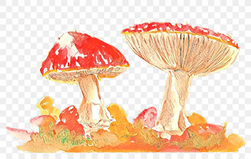 Mushroom Agaric Agaricomycetes Fungus, PNG, 1197x758px, Mushroom, Agaric, Agaricomycetes, Fungus Download Free