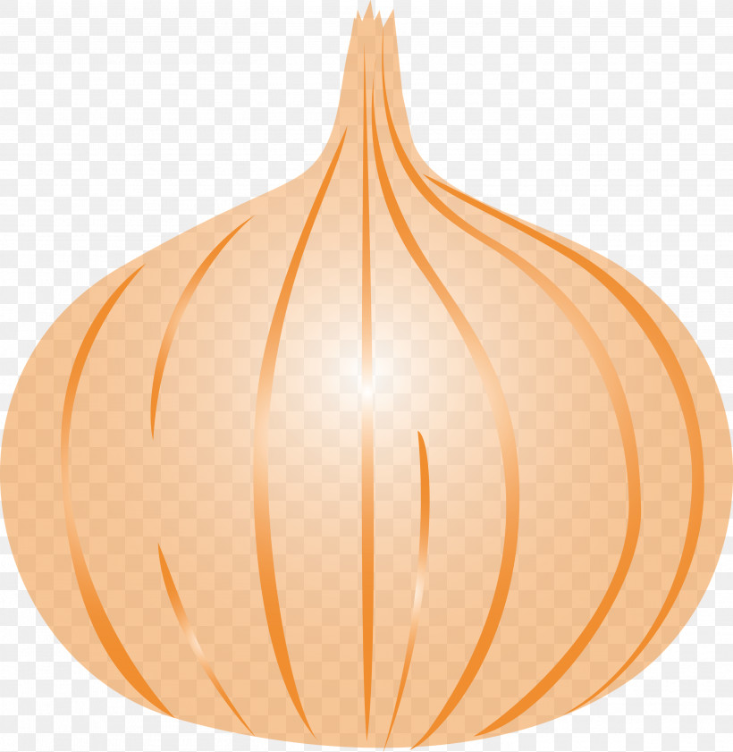 Onion, PNG, 2922x3000px, Onion, Ceiling, Ceiling Fixture, Pumpkin, Squash Download Free