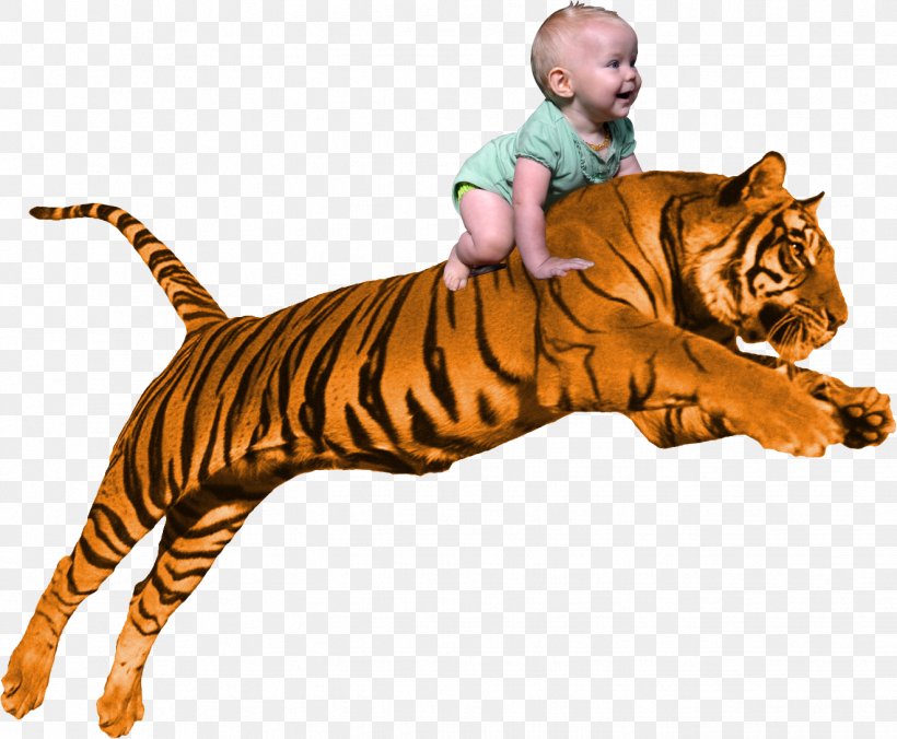 Siberian Tiger Download Clip Art, PNG, 1322x1091px, Siberian Tiger, Animal Figure, Big Cats, Carnivoran, Cat Like Mammal Download Free
