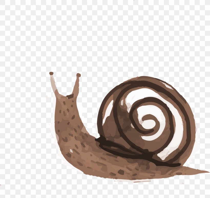 Snail Orthogastropoda Illustration, PNG, 2000x1886px, Snail, Art, Cartoon, Ink Wash Painting, Invertebrate Download Free