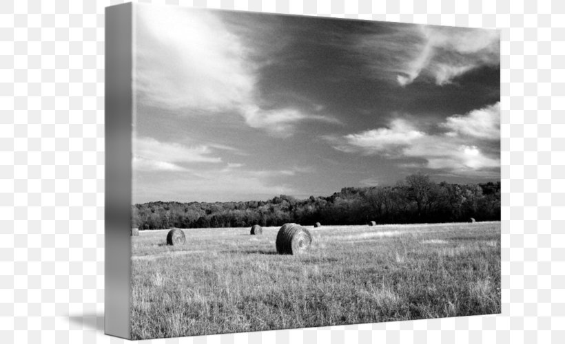 Stock Photography Picture Frames Prairie, PNG, 650x500px, Photography, Black And White, Cloud, Field, Film Frame Download Free