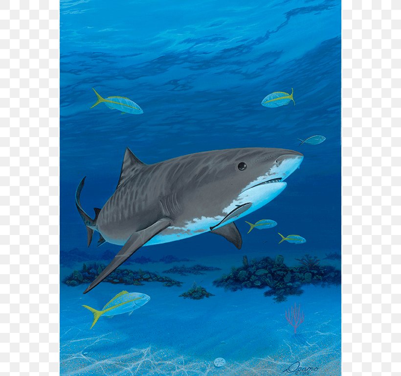 Tiger Shark Great White Shark Canvas Print Turtle, PNG, 768x768px, Tiger Shark, Aqua, Canvas, Canvas Print, Carcharhiniformes Download Free