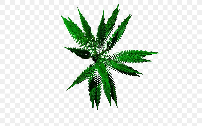 Cannabis Hemp Tree Leaf, PNG, 512x512px, Cannabis, Hemp, Hemp Family, Leaf, Plant Download Free