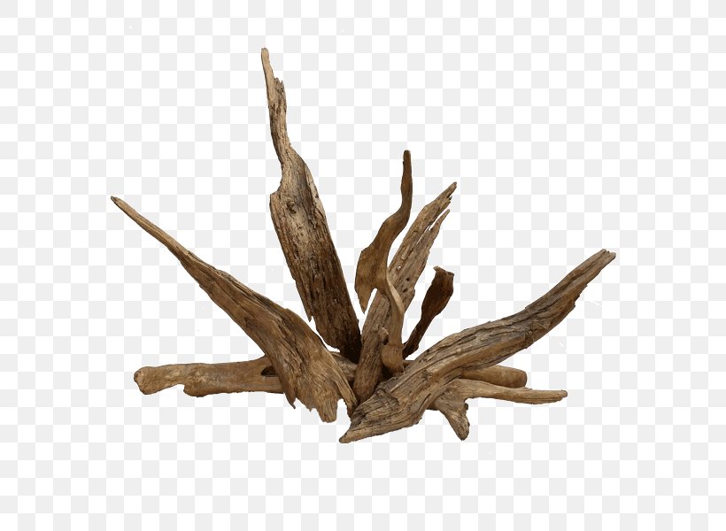 Driftwood, PNG, 600x600px, Driftwood, Branch, Root, Twig, Wood Download Free