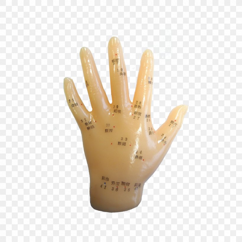 Hand Model Finger Glove Acupuncture, PNG, 1200x1200px, Hand Model, Acupuncture, Finger, Glove, Hand Download Free