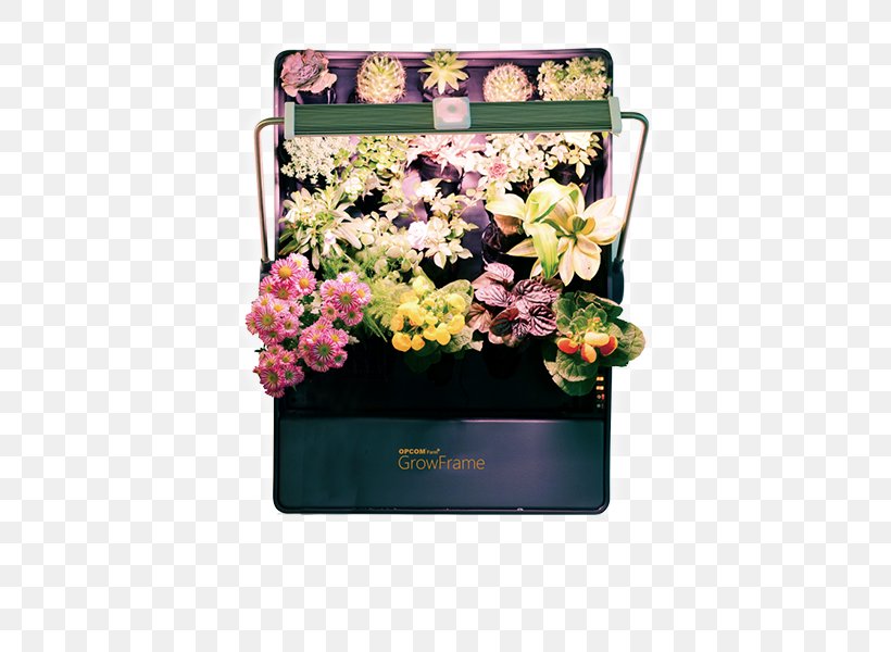 Hydroponics Hydroponic Gardening Flowerpot, PNG, 600x600px, Hydroponics, Artificial Flower, Bag, Bauernhof, Crop Download Free
