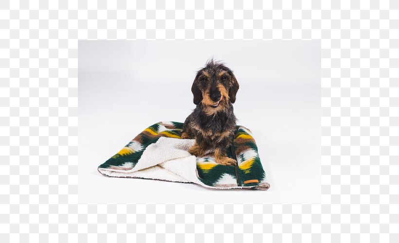 Puppy Companion Dog Leash Razas Nativas Vulnerables, PNG, 500x500px, Puppy, Companion Dog, Dog, Dog Bed, Dog Breed Download Free