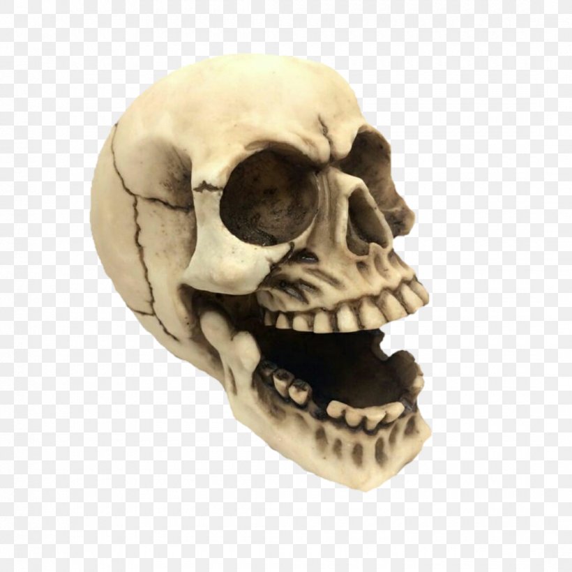 Skull Bone Skeleton Jaw Calvaria, PNG, 1080x1080px, Skull, Blog, Bone, Calvaria, Death Download Free