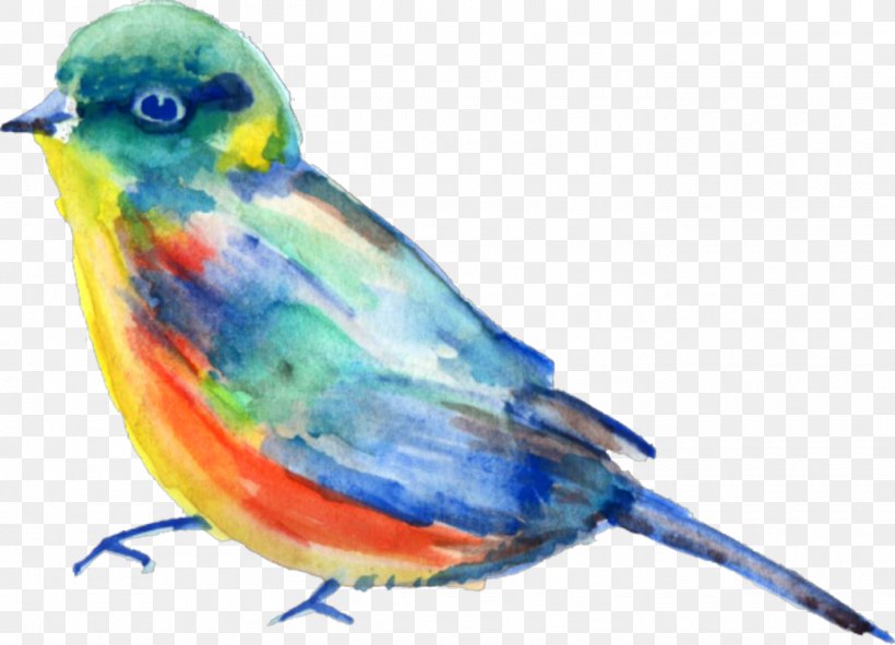 Bird Beak Mountain Bluebird Bluebird Songbird, PNG, 1420x1024px, Bird, Beak, Bluebird, Eastern Bluebird, Finch Download Free