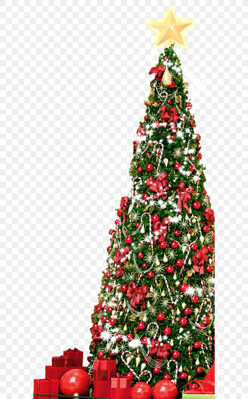 Christmas Tree, PNG, 600x1319px, Christmas Tree, Christmas, Christmas Decoration, Christmas Ornament, Conifer Download Free