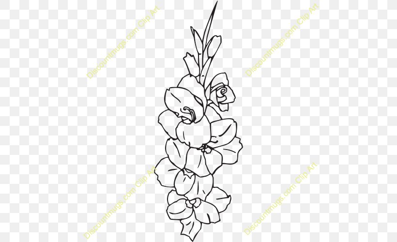 free clipart flower gladiolas