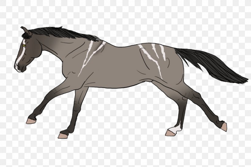 Mustang Mane Mare Rein Stallion, PNG, 1024x683px, Mustang, Animal Figure, Bit, Bridle, Dressage Download Free