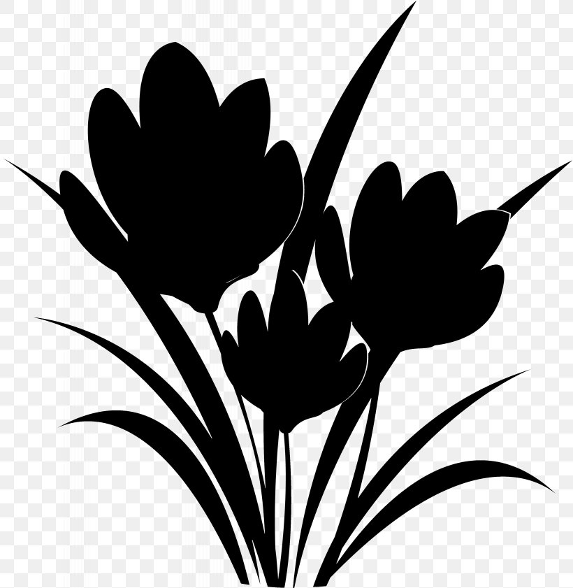 Tulip Clip Art Plant Stem Leaf Desktop Wallpaper, PNG, 4099x4205px, Tulip, Black M, Blackandwhite, Botany, Branching Download Free